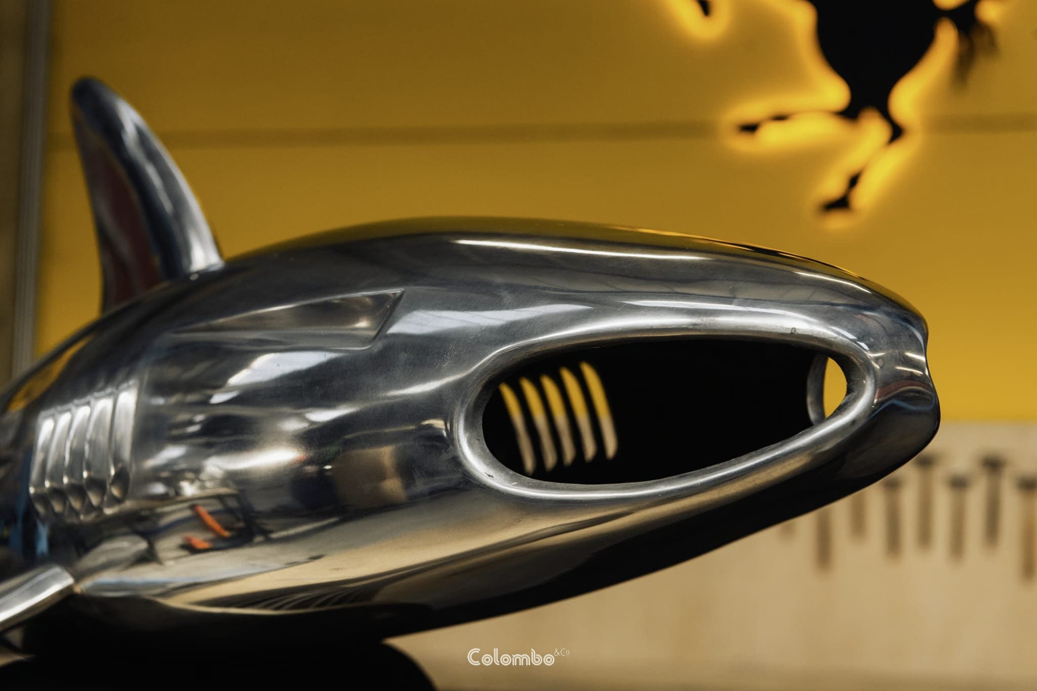 Shark Nose /7 by Toby Southan