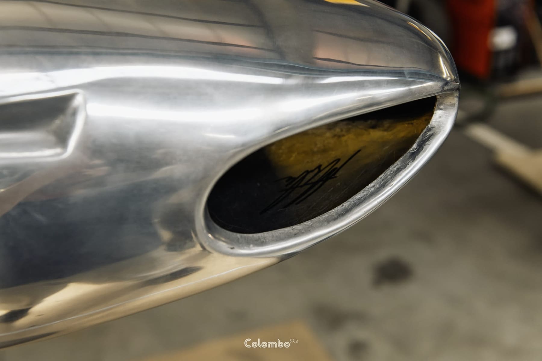 Shark Nose /7 gallery image 7