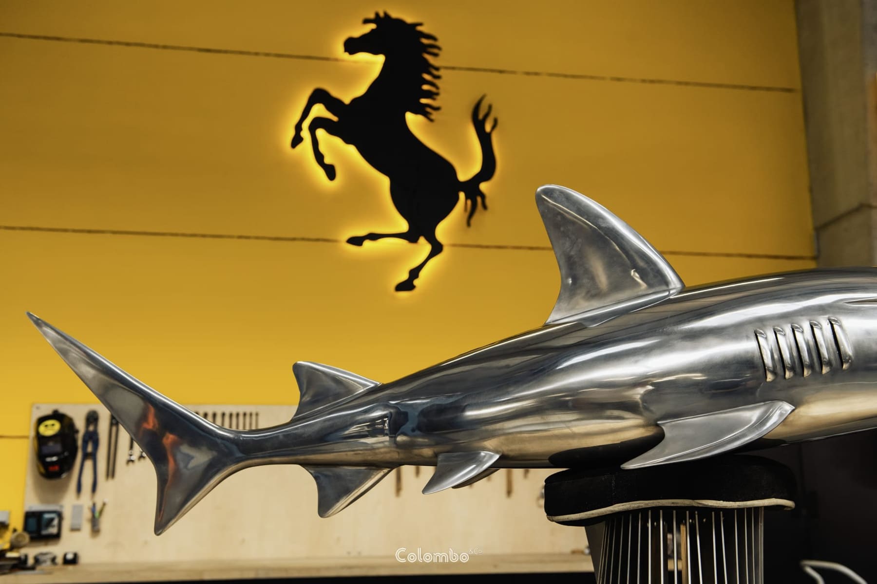 Shark Nose /7 gallery image 10