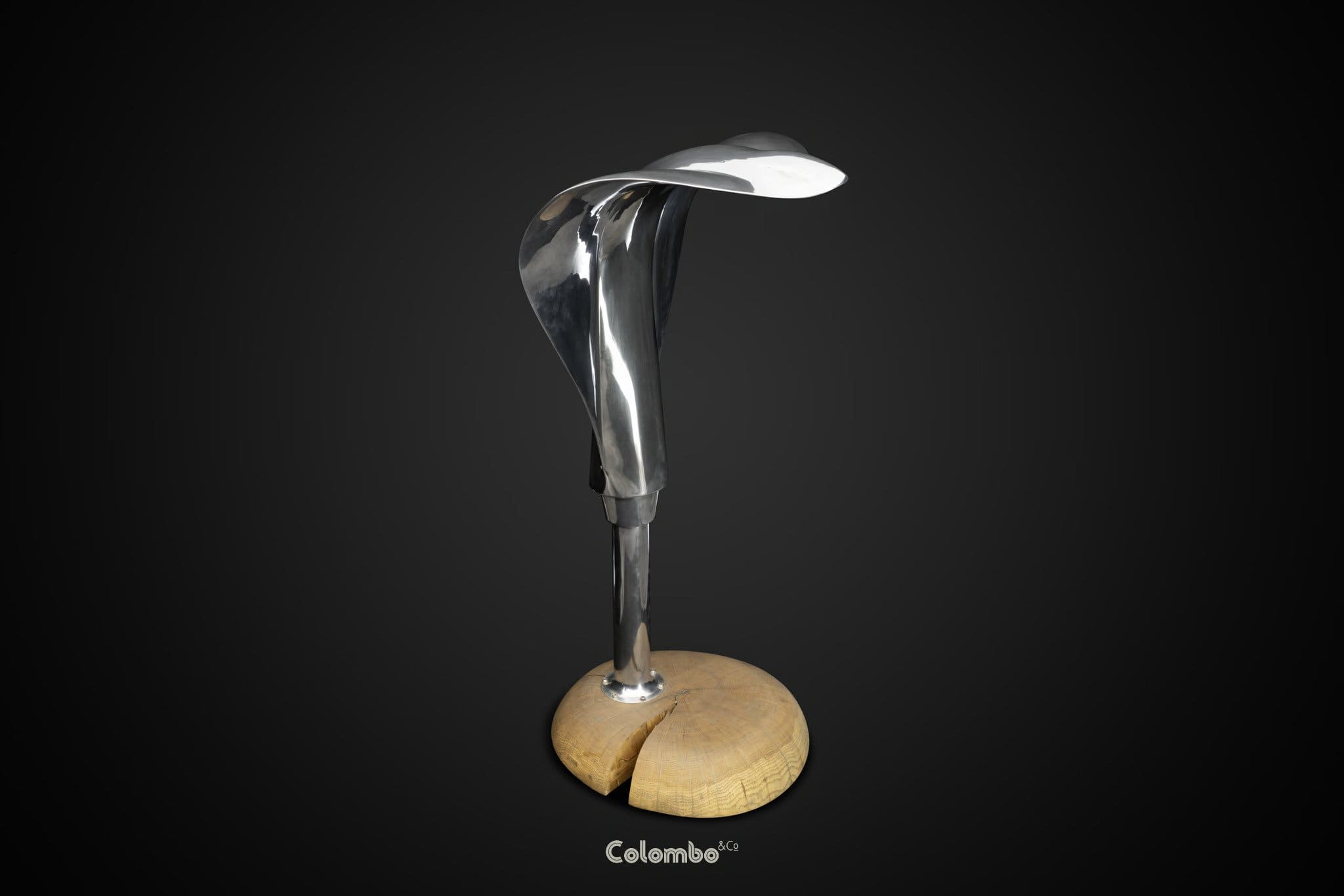 King Cobra /1 by Toby Southan