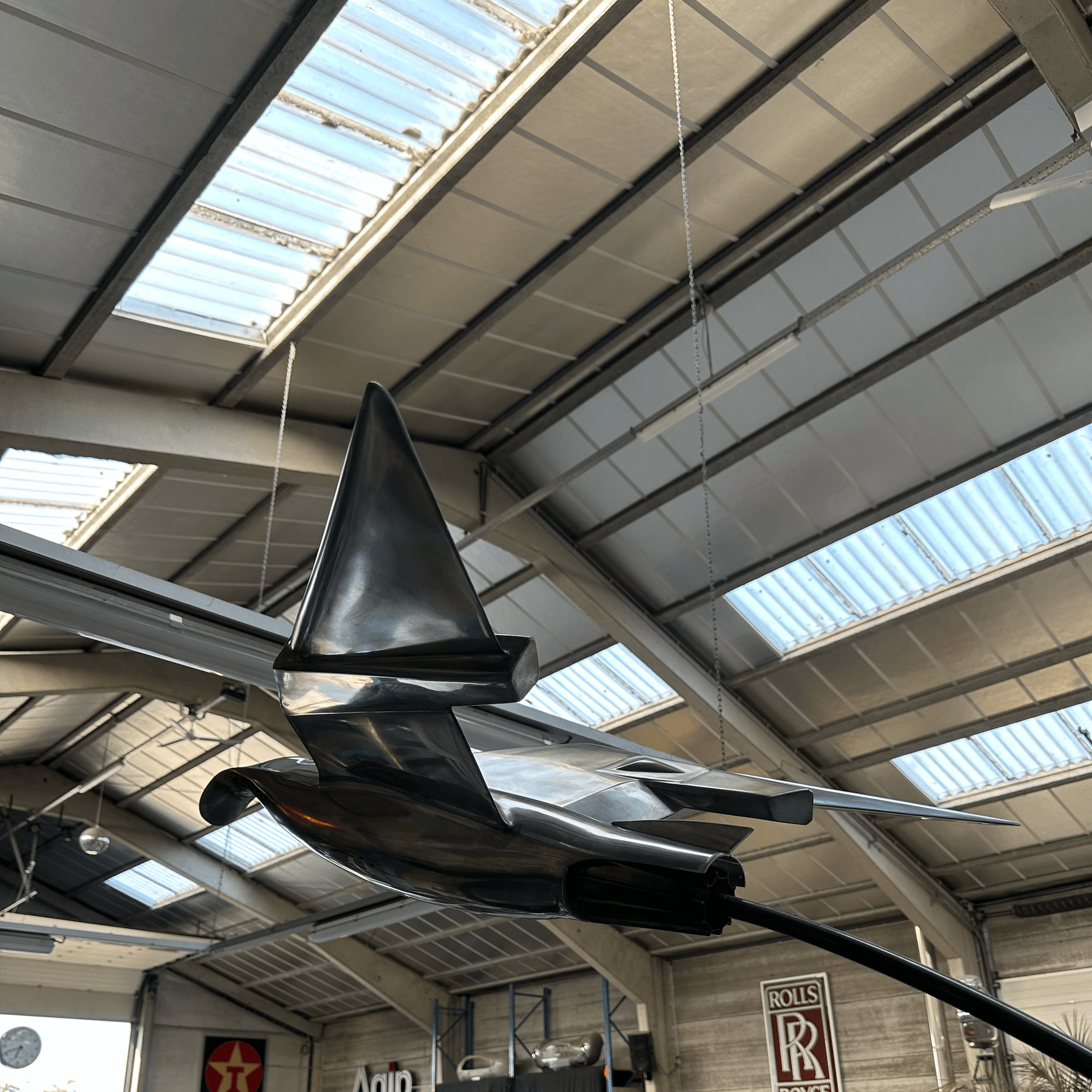 Thunder Bird /1 gallery image 5