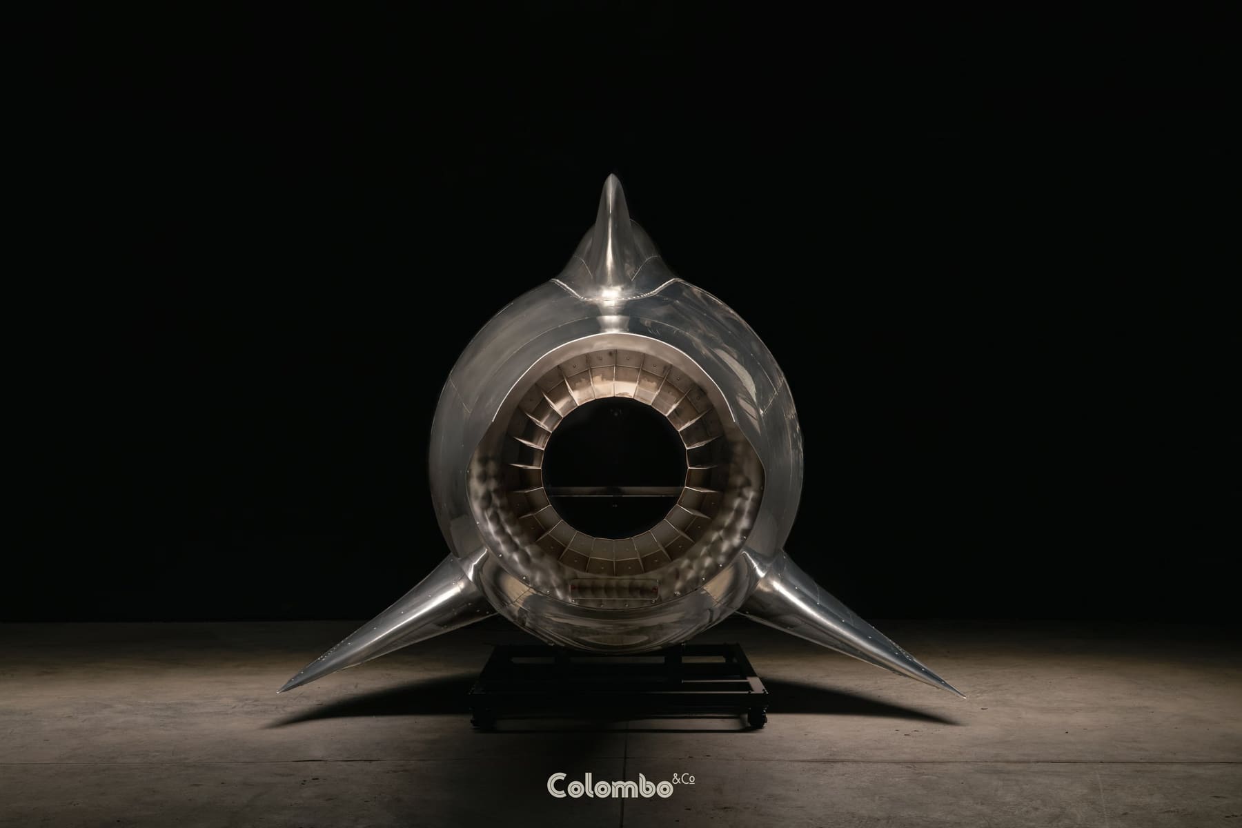 Turbo Dolphin /1 gallery image 2