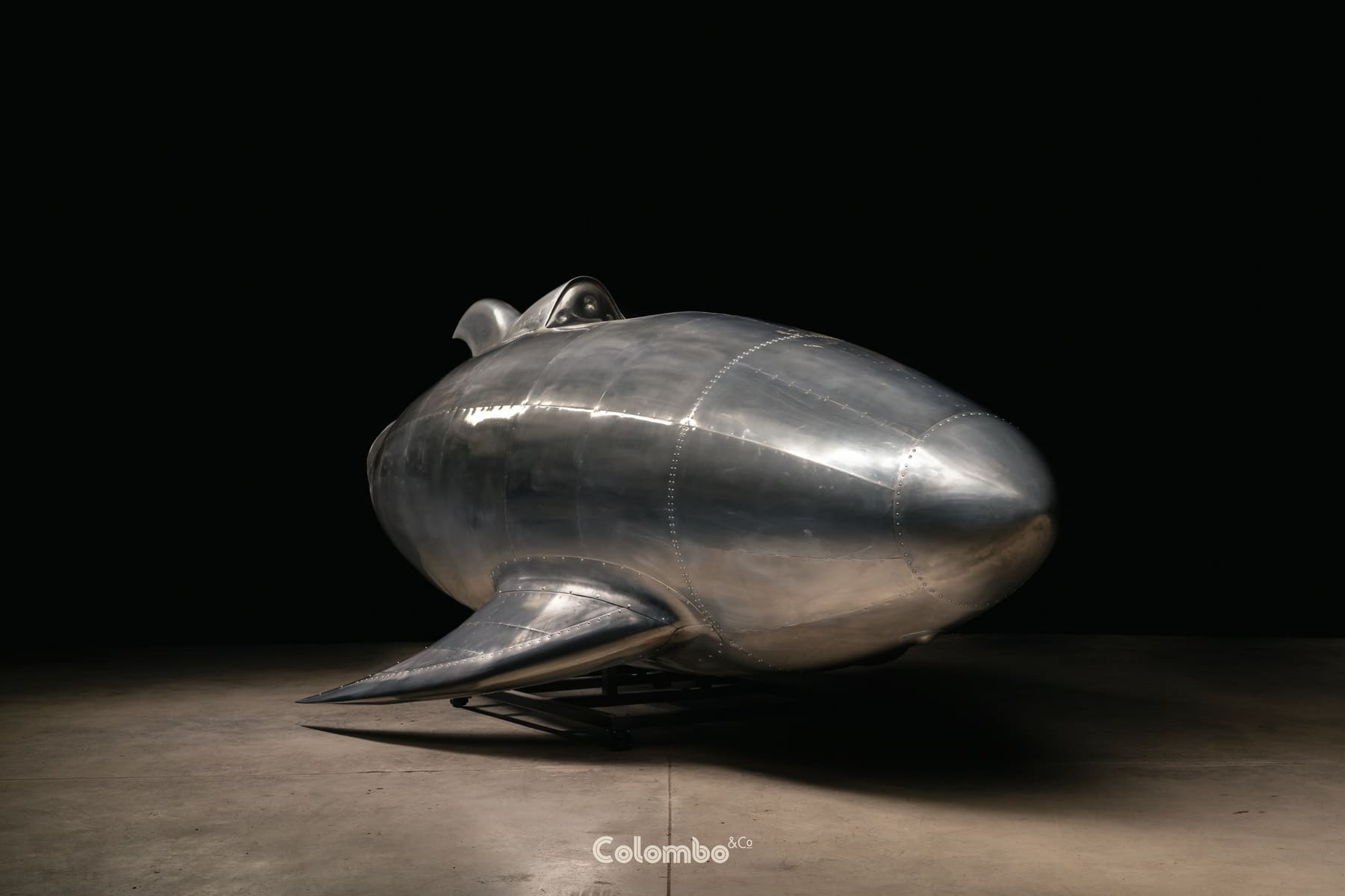 Turbo Dolphin /1 gallery image 3