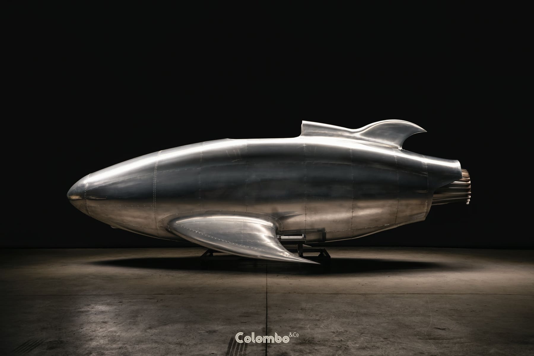 Turbo Dolphin /1 gallery image 4