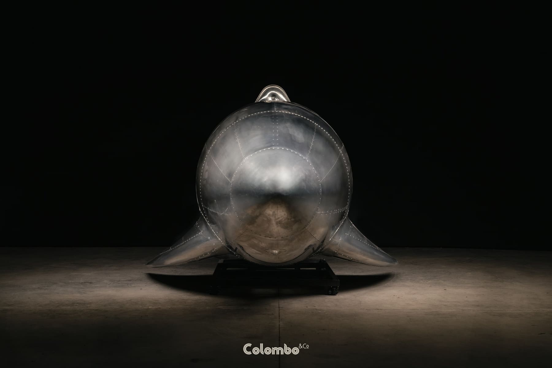 Turbo Dolphin /1 gallery image 5